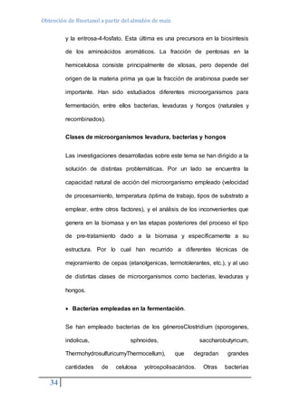 Obtención de Bioetanol a partir del almidón de maíz 
34 
y la eritrosa-4-fosfato. Esta última es una precursora en la biosíntesis 
de los aminoácidos aromáticos. La fracción de pentosas en la 
hemicelulosa consiste principalmente de xilosas, pero depende del 
origen de la materia prima ya que la fracción de arabinosa puede ser 
importante. Han sido estudiados diferentes microorganismos para 
fermentación, entre ellos bacterias, levaduras y hongos (naturales y 
recombinados). 
Clases de microorganismos levadura, bacterias y hongos 
Las investigaciones desarrolladas sobre este tema se han dirigido a la 
solución de distintas problemáticas. Por un lado se encuentra la 
capacidad natural de acción del microorganismo empleado (velocidad 
de procesamiento, temperatura óptima de trabajo, tipos de substrato a 
emplear, entre otros factores), y el análisis de los inconvenientes que 
genera en la biomasa y en las etapas posteriores del proceso el tipo 
de pre-tratamiento dado a la biomasa y específicamente a su 
estructura. Por lo cual han recurrido a diferentes técnicas de 
mejoramiento de cepas (etanolgenicas, termotolerantes, etc.), y al uso 
de distintas clases de microorganismos como bacterias, levaduras y 
hongos. 
 Bacterias empleadas en la fermentación. 
Se han empleado bacterias de los génerosClostridium (sporogenes, 
indolicus, sphnoides, saccharobutyricum, 
ThermohydrosulfuricumyThermocellum), que degradan grandes 
cantidades de celulosa yotrospolisacáridos. Otras bacterias 
 