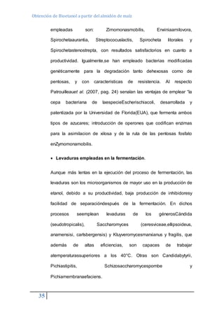 Obtención de Bioetanol a partir del almidón de maíz 
35 
empleadas son: Zimomonasmobilis, Erwiniaamilovora, 
Spirochetaaurantia, Streptococuslactis, Spirocheta litorales y 
Spirochetastenostrepta, con resultados satisfactorios en cuanto a 
productividad. Igualmente,se han empleado bacterias modificadas 
genéticamente para la degradación tanto dehexosas como de 
pentosas, y con caracteristicas de resistencia. Al respecto 
Patrouilleauet al. (2007, pag. 24) senalan las ventajas de emplear “la 
cepa bacteriana de laespecieEscherischiacoli, desarrollada y 
patentizada por la Universidad de Florida(EUA), que fermenta ambos 
tipos de azucares; introducción de operones que codifican enzimas 
para la asimilacion de xilosa y de la ruta de las pentosas fosfato 
enZymomonamobilis. 
 Levaduras empleadas en la fermentación. 
Aunque más lentas en la ejecución del proceso de fermentación, las 
levaduras son los microorganismos de mayor uso en la producción de 
etanol, debido a su productividad, baja producción de inhibidoresy 
facilidad de separacióndespués de la fermentación. En dichos 
procesos seemplean levaduras de los génerosCándida 
(seudotropicalis), Saccharomyces (ceresviceae,ellipsoideus, 
anamensisi, carlsbergensis) y Kluyveromycesmarxianus y fragilis, que 
además de altas eficiencias, son capaces de trabajar 
atemperaturassuperiores a los 40°C. Otras son Candidabytyrii, 
Pichiastipitis, Schizosaccharomycespombe y 
Pichiamembranaefaciens. 
 