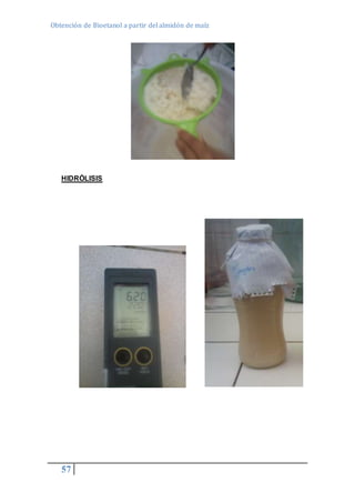 Obtención de Bioetanol a partir del almidón de maíz 
HIDRÓLISIS 
57 
 