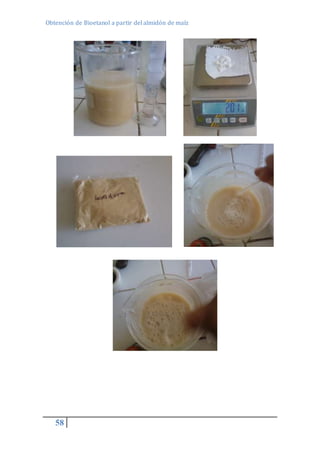 Obtención de Bioetanol a partir del almidón de maíz 
58 
 