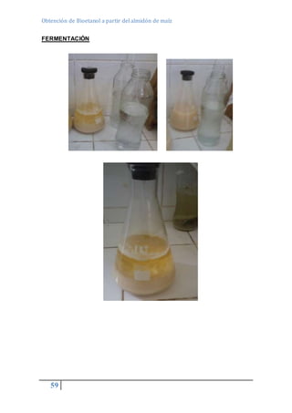 Obtención de Bioetanol a partir del almidón de maíz 
FERMENTACIÓN 
59 
 