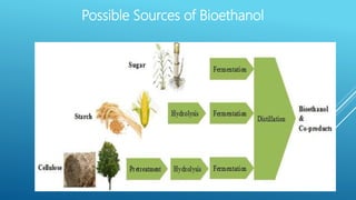 Possible Sources of Bioethanol
 