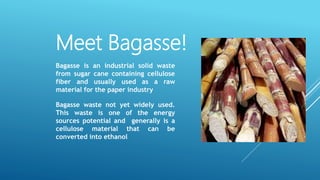 Meet Bagasse!
Bagasse is an industrial solid waste
from sugar cane containing cellulose
fiber and usually used as a raw
material for the paper industry
Bagasse waste not yet widely used.
This waste is one of the energy
sources potential and generally is a
cellulose material that can be
converted into ethanol
 