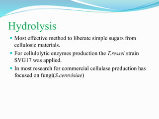 Hydrolysis
 Most effective method to liberate simple sugars from
cellulosic materials.
 For cellulolytic enzymes production the T.ressei strain
SVG17 was applied.
 In most research for commercial cellulase production has
focused on fungi(S.cerevisiae)
 