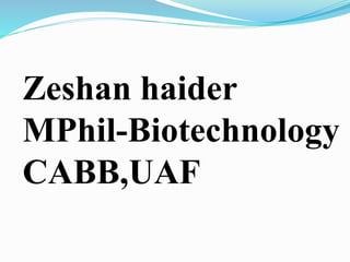 Zeshan haider
MPhil-Biotechnology
CABB,UAF
 