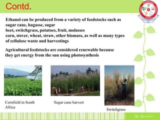 Ethanol can be produced from a variety of feedstocks such as
sugar cane, bagasse, sugar
beet, switchgrass, potatoes, fruit, molasses
corn, stover, wheat, straw, other biomass, as well as many types
of cellulose waste and harvestings
Agricultural feedstocks are considered renewable because
they get energy from the sun using photosynthesis
Cornfield in South
Africa
Sugar cane harvest
Switchgrass
Contd.
 
