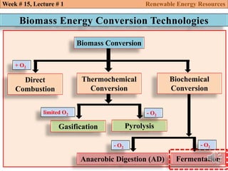 Biomass Energy Conversion Technologies
Biomass Conversion
Direct
Combustion
Thermochemical
Conversion
Biochemical
Conversion
Gasification Pyrolysis
Anaerobic Digestion (AD) Fermentation
+ O2
- O2
limited O2
- O2
Week # 15, Lecture # 1 Renewable Energy Resources
- O2
 