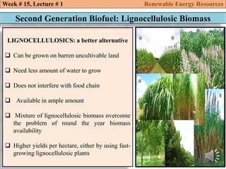 LIGNOCELLULOSICS: a better alternative
 Can be grown on barren uncultivable land
 Need less amount of water to grow
 Does not interfere with food chain
 Available in ample amount
 Mixture of lignocellulosic biomass overcome
the problem of round the year biomass
availability
 Higher yields per hectare, either by using fast-
growing lignocellulosic plants
Week # 15, Lecture # 1 Renewable Energy Resources
Second Generation Biofuel: Lignocellulosic Biomass
 