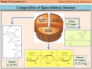 Week # 15, Lecture # 1 Renewable Energy Resources
Composition of lignocellulosic biomass
Phenol
(C6H5OH)
Glucose
6-C sugars
(C6H12O6)
Xylose
5-C sugars
(C5H10O5)
 
