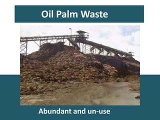 Oil Palm Waste
Abundant and un-use
 