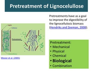 Pretreatment of Lignocelullose
Mosier et al. (2005)
Pretreatment:
• Mechanical
• Physical
• Chemical
• Biological
• Combination
Pretreatments have as a goal
to improve the digestibility of
the lignocellulosic biomass
(Hendriks and Zeeman, 2008).
 