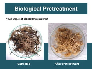 Biological Pretreatment
Untreated After pretreatment
Visual Changes of OPEFB after pretreatment
 