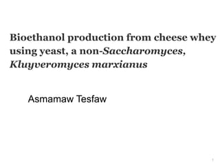 Bioethanol production from cheese whey
using yeast, a non-Saccharomyces,
Kluyveromyces marxianus
Asmamaw Tesfaw
1
 