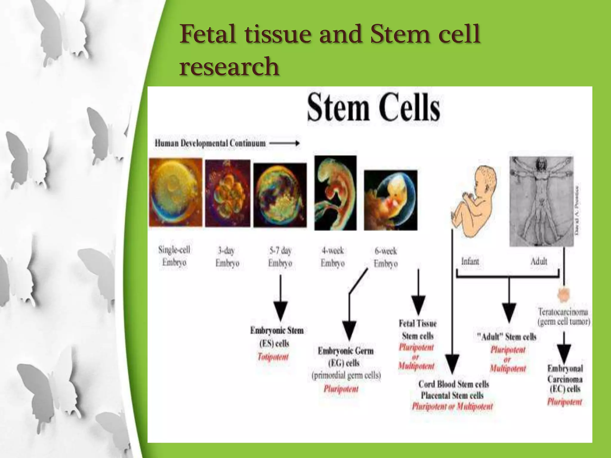 Fetal tissue and Stem cell
research
 