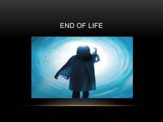 END OF LIFE
 