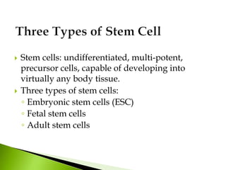  Stem cells: undifferentiated, multi-potent,
precursor cells, capable of developing into
virtually any body tissue.
 Three types of stem cells:
◦ Embryonic stem cells (ESC)
◦ Fetal stem cells
◦ Adult stem cells
 