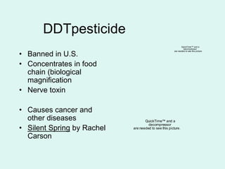 DDTpesticide
• Banned in U.S.
• Concentrates in food
chain (biological
magnification
• Nerve toxin
• Causes cancer and
other diseases
• Silent Spring by Rachel
Carson
QuickTime™ and a
decompressor
are needed to see this picture.
QuickTime™ and a
decompressor
are needed to see this picture.
 