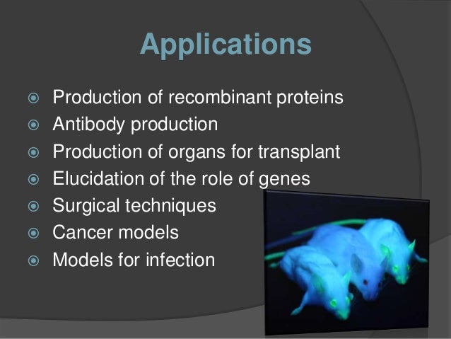 Bioethics of transgenic animals