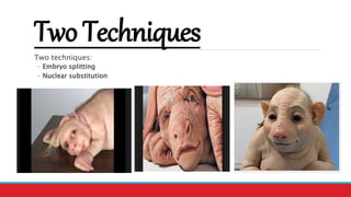 Two Techniques
Two techniques:
◦ Embryo splitting
◦ Nuclear substitution
 