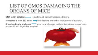 LIST OF GMOS DAMAGING THE
ORGANS OF MICE
GNA lectin potatoes smaller and partially atrophied livers.
Monsanto’s Mon 863 corn liver lesions and other indications of toxicity .
Roundup Ready soybeans structural changes in their liver &pancreas of mice
produced less digestive enzymes
 