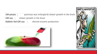GM potato ; pancreas was enlarged & slower growth in the brain
GM soy ; slower growth in the brain
Rabbits fed GM soy ; altered enzyme production
 