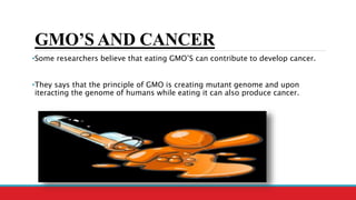 GMO’S AND CANCER
•Some researchers believe that eating GMO’S can contribute to develop cancer.
•They says that the principle of GMO is creating mutant genome and upon
iteracting the genome of humans while eating it can also produce cancer.
 