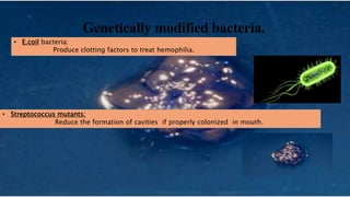 Genetically modified bacteria.
• E.coil bacteria:
Produce clotting factors to treat hemophilia.
• Streptococcus mutants:
Reduce the formation of cavities if properly colonized in mouth.
 