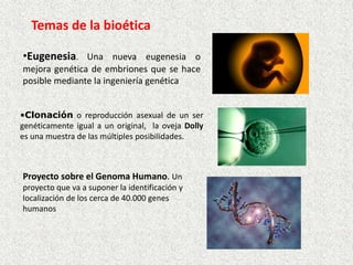 Temas de la bioética
•Eugenesia. Una nueva eugenesia o
mejora genética de embriones que se hace
posible mediante la ingeniería genética
•Clonación o reproducción asexual de un ser
genéticamente igual a un original, la oveja Dolly
es una muestra de las múltiples posibilidades.

Proyecto sobre el Genoma Humano. Un
proyecto que va a suponer la identificación y
localización de los cerca de 40.000 genes
humanos

 