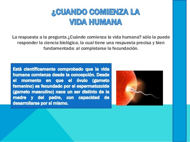 Problemas éticos relacionados con el comienzo de la vida humana