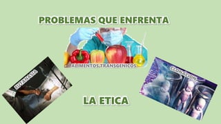 ALIMENTOS TRANSGENICOS
PROBLEMAS QUE ENFRENTA
LA ETICA
 
