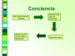 Conciencia
Voz interior del ser
humano
Guía sus actos
Consecuencia
de sus actos y
desiciones
Previene que
dañe su
naturaleza
 