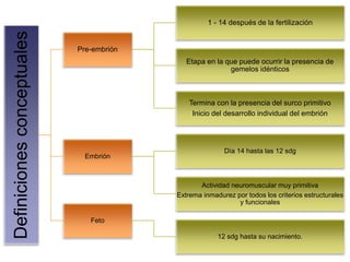 Definiciones conceptuales 
Pre-embrión 
1 - 14 después de la fertilización 
Etapa en la que puede ocurrir la presencia de 
gemelos idénticos 
Termina con la presencia del surco primitivo 
Inicio del desarrollo individual del embrión 
Embrión 
Día 14 hasta las 12 sdg 
Actividad neuromuscular muy primitiva 
Extrema inmadurez por todos los criterios estructurales 
y funcionales 
Feto 
12 sdg hasta su nacimiento. 
 