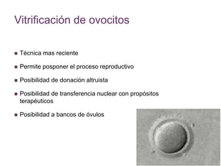 Vitrificación de ovocitos 
 Técnica mas reciente 
 Permite posponer el proceso reproductivo 
 Posibilidad de donación altruista 
 Posibilidad de transferencia nuclear con propósitos 
terapéuticos 
 Posibilidad a bancos de óvulos 
 