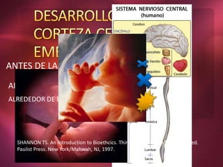 ANTES DE LA PRIMERA SEMANA
ALREDEDOR DE LA DEUDECIMA
ALREDEDOR DE LA VIGESIMA PRIMERA
SHANNON TS. An Introduction to Bioethcics. Third Edition Revised and Updated.
Paulist Press. New York/Mahwah, NJ, 1997.
 