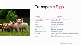 Transgenic Pigs
Target Tujuan
a-lactalbumin, lysozyme
CD163SRCR5
cSKI
FAD2
FMDshRNA
growth hormone
Mx1
Omega -3 (Fat-1)
Phytase
RELA
Keberlangsungan hidup anak babi
PRRS resistance
Perkembangan otot
Perbaikan lemak susu
Resistensi FMDV
growth rate
influenza resistance
Komposisi daging
Nafsu makan / mengurangi dampak terhadap
lingkungan.
African Swine Fever Virus resistance
Van eenennaam et al., 2021
 