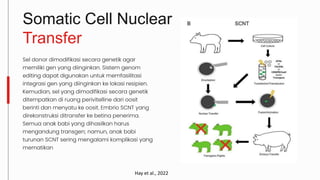 Somatic Cell Nuclear
Transfer
Sel donor dimodifikasi secara genetik agar
memiliki gen yang diinginkan. Sistem genom
editing dapat digunakan untuk memfasilitasi
integrasi gen yang diinginkan ke lokasi resipien.
Kemudian, sel yang dimodifikasi secara genetik
ditempatkan di ruang perivitelline dari oosit
berinti dan menyatu ke oosit. Embrio SCNT yang
direkonstruksi ditransfer ke betina penerima.
Semua anak babi yang dihasilkan harus
mengandung transgen; namun, anak babi
turunan SCNT sering mengalami komplikasi yang
mematikan
Hay et al., 2022
 