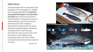 AquAdvantage Salmon, diproduksi oleh
AquaBounty Technologies, Inc., adalah
ikan rekayasa genetika (GE) pertama
yang dipertimbangkan untuk produksi
komersial dan konsumsi manusia di
Amerika Serikat. Penerapannya saat ini
sedang ditinjau oleh Food and Drug
Administration (FDA). Meskipun
perusahaan swasta di seluruh dunia
sedang mengembangkan setidaknya
35 spesies ikan RG dan kerang—
termasuk ikan lele, gurame, tiram, dan
trout—belum ada negara yang
menyetujui salah satu dari mereka
untuk produksi komersial atau konsumsi
manusia.
GMO Salmon
Negowetti, 2017
 