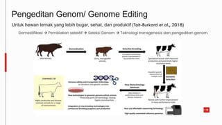 Pengeditan Genom/ Genome Editing
Untuk hewan ternak yang lebih bugar, sehat, dan produktif (Tait-Burkard et al., 2018)
Domestifikasi  Pembiakan selektif  Seleksi Genom  Teknologi transgenesis dan pengeditan genom.
 