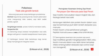 Peningkatan Kesehatan Ambing Sapi Perah:
Penyisipan Gen Manusia pada Sapi Perah
Sapi mastitis menunjukkan respon tingkah laku dan
fisiologis terkait rasa sakit.
Kandungan laktoferin dan protein lisozim dalam susu
sapi konsentrasinya jauh lebih rendah daripada susu
manusia.
Protein lisozim untuk pertahanan patogen,
Peptida manusia β-defensin-3 (HBD3) untuk antimikroba,
(+) Meningkatkan kesehatan dan produksi sapi perah.
Sapi modifikasi genetik mengekspresikan HBD3, atau
lisozim manusia dalam susu lebih tahan terhadap
infeksi ambing bakteri daripada sapi control (sapi
non transgenik).
Polledness:
Tidak ada genetik tanduk
Dehorning sapi perah tanpa kehilangan produktivitas.
Manfaat bagi ternak, pawang ternak, industri peternakan
untuk mengurangi risiko cedera, sapi lebih sedikit
perilaku agresif.
Penghilangan tanduk : proses mahal & memakan waktu,
Perspective Etik :
(+) Dehorning tanpa anestesi menyebabkan rasa sakit,
dengan edit genom masalah kesejahteraan hewan jelas,
(-) Kehilangan tanduk tidak berbahaya bagi ternak
tetapi mempengaruhi integritas hewan.
(Eriksson et al., 2018)
(Eriksson et al., 2018)
 