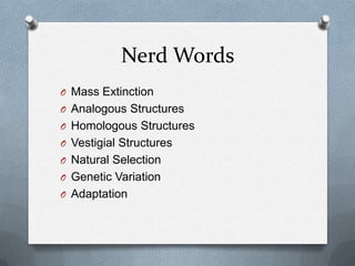 Nerd Words
O Mass Extinction
O Analogous Structures
O Homologous Structures
O Vestigial Structures

O Natural Selection
O Genetic Variation
O Adaptation

 