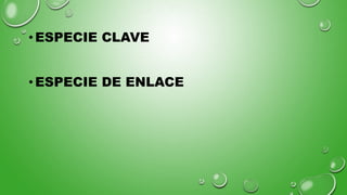 •ESPECIE CLAVE
•ESPECIE DE ENLACE
 