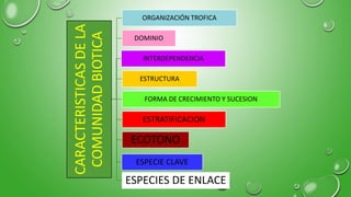 CARACTERISTICAS
DE
LA
COMUNIDAD
BIOTICA
ORGANIZACIÓN TROFICA
DOMINIO
INTERDEPENDENCIA
ESTRUCTURA
FORMA DE CRECIMIENTO Y SUCESION
ESTRATIFICACION
ECOTONO
ESPECIE CLAVE
ESPECIES DE ENLACE
 