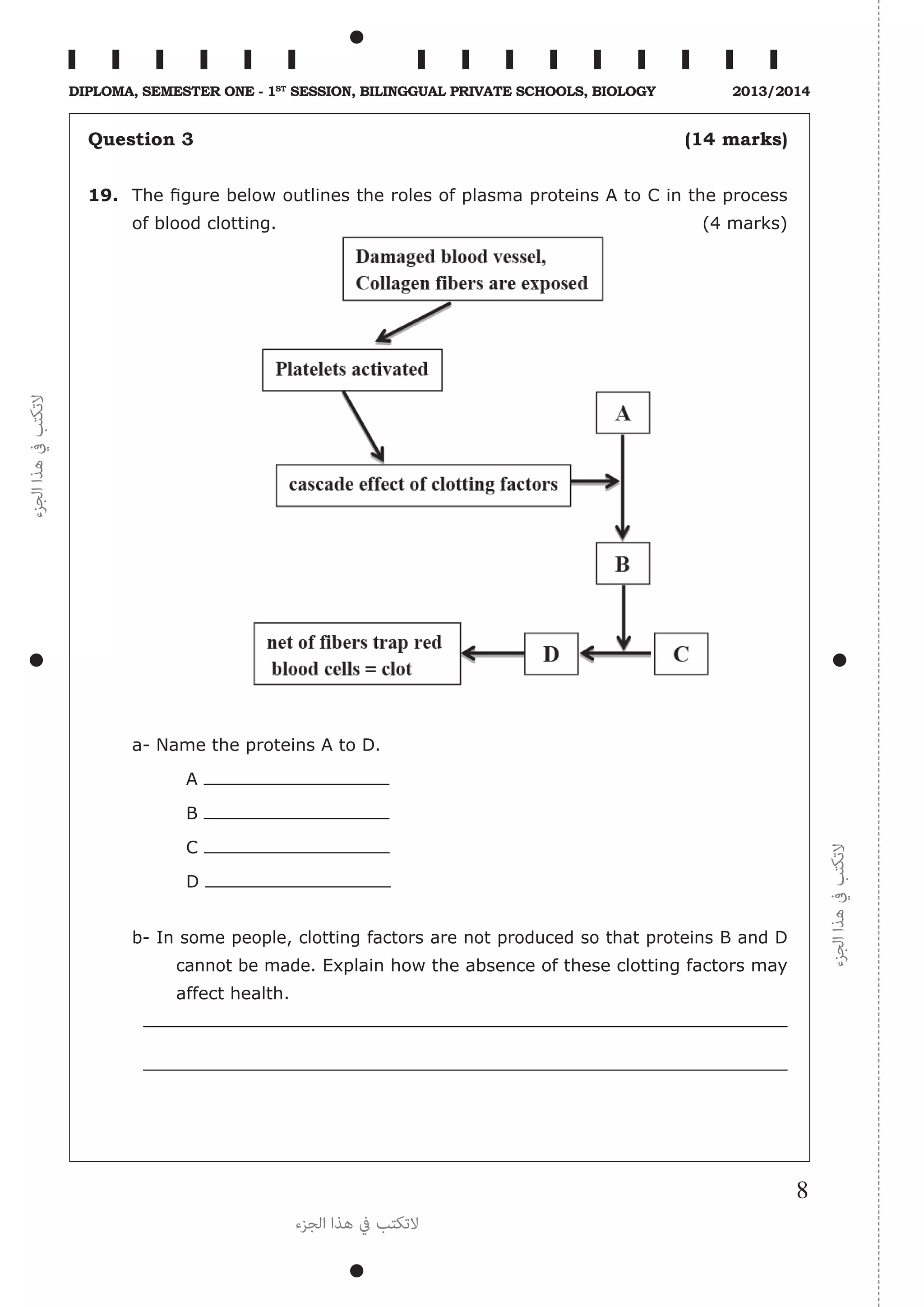 ‫الجزء‬‫هذا‬‫يف‬‫التكتب‬
‫الجزء‬‫هذا‬‫يف‬‫التكتب‬
‫الجزء‬ ‫هذا‬ ‫يف‬ ‫التكتب‬
8
Diploma, Semester One - 1st
Session, Bilinggual Private schools, Biology 2013/2014
Question 3 (14 marks)
19.	 The figure below outlines the roles of plasma proteins A to C in the process
of blood clotting. (4 marks)
a- Name the proteins A to D.
A
B
C
D
b- In some people, clotting factors are not produced so that proteins B and D
cannot be made. Explain how the absence of these clotting factors may
affect health.
 