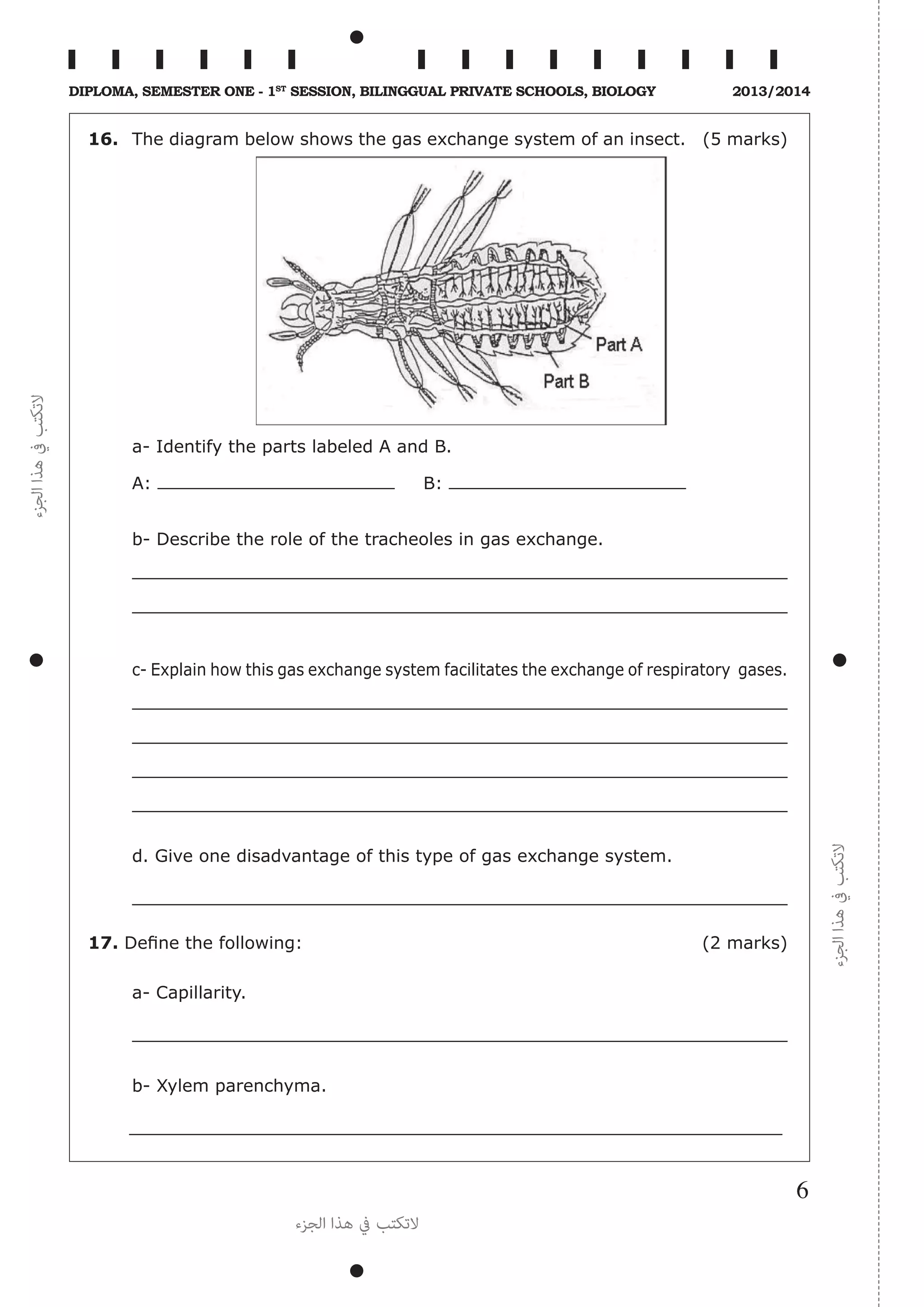 ‫الجزء‬‫هذا‬‫يف‬‫التكتب‬
‫الجزء‬‫هذا‬‫يف‬‫التكتب‬
‫الجزء‬ ‫هذا‬ ‫يف‬ ‫التكتب‬
6
Diploma, Semester One - 1st
Session, Bilinggual Private schools, Biology 2013/2014
16.	 The diagram below shows the gas exchange system of an insect. (5 marks)
a- Identify the parts labeled A and B.
A: 	B:
b- Describe the role of the tracheoles in gas exchange.
c- Explain how this gas exchange system facilitates the exchange of respiratory gases.
d. Give one disadvantage of this type of gas exchange system.
17. Define the following: (2 marks)
a- Capillarity.
b- Xylem parenchyma.
 