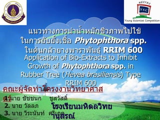 LOGO


       แนวทางการนำานำำาหมักชีวภาพไปใช้
     ในการยับยัำงเชืำอ Phytophthora spp.
      ในต้นกล้ายางพาราพันธุ์ RRIM 600
      Application of Bio-Extracts to Inhibit
       Growth of Phytophthora spp. in
     Rubber Tree (Hevea brasiliensis) Type
                   RRIM 600
คณะผู้จัดทำาโครงงานวิทยาศาส
ตร์ ชัชชนก ชูสวัสดิ์
1.นาย
2. นาย วัลลภ      โรงเรียนมหิดลวิทย
                  ขุนทา
3. นาย วีระนันท์ ศรีเกตุรณ์
                  านุส                         1