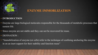 ENZYME IMMOBLIZATION
• INTRODUCTION
• Enzyme are large biological molecules responsible for the thousands of metabolic processes that
sustain life.
• Since enzyme are not stable and they can not be recovered for reuse.
• DEFINATION :
• “Immobilization of enzyme (or cells) refer to the technique of confining anchoring the enzyme
in on an inert support for their stability and function reuse”
 