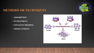 METHODS OR TECHNIQUES
• ADSORPTION
• ENTRAPMENT
• COVALENT BINDING
• CROSS LINKING
 
