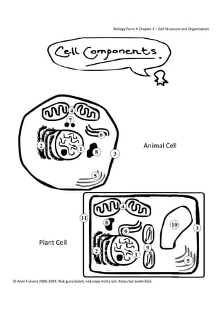 Biology Form 4 Chapter 2 – Cell Structure and Organisation 
 

 
 
 
 
 

 

 

 

 

 

 

 

 

 

Animal Cell 

 
 
 
 
 
 
Plant Cell 
 
 
© Amir Fuhaira 2008‐20XX. Nak guna boleh, nak copy minta izin. Kalau tak boleh blah. 
 

 
