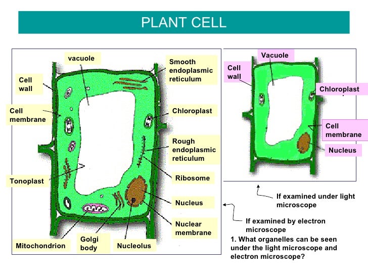 Microscope parts and labels