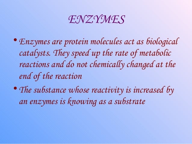 What are proteins that act as biological catalysts called?